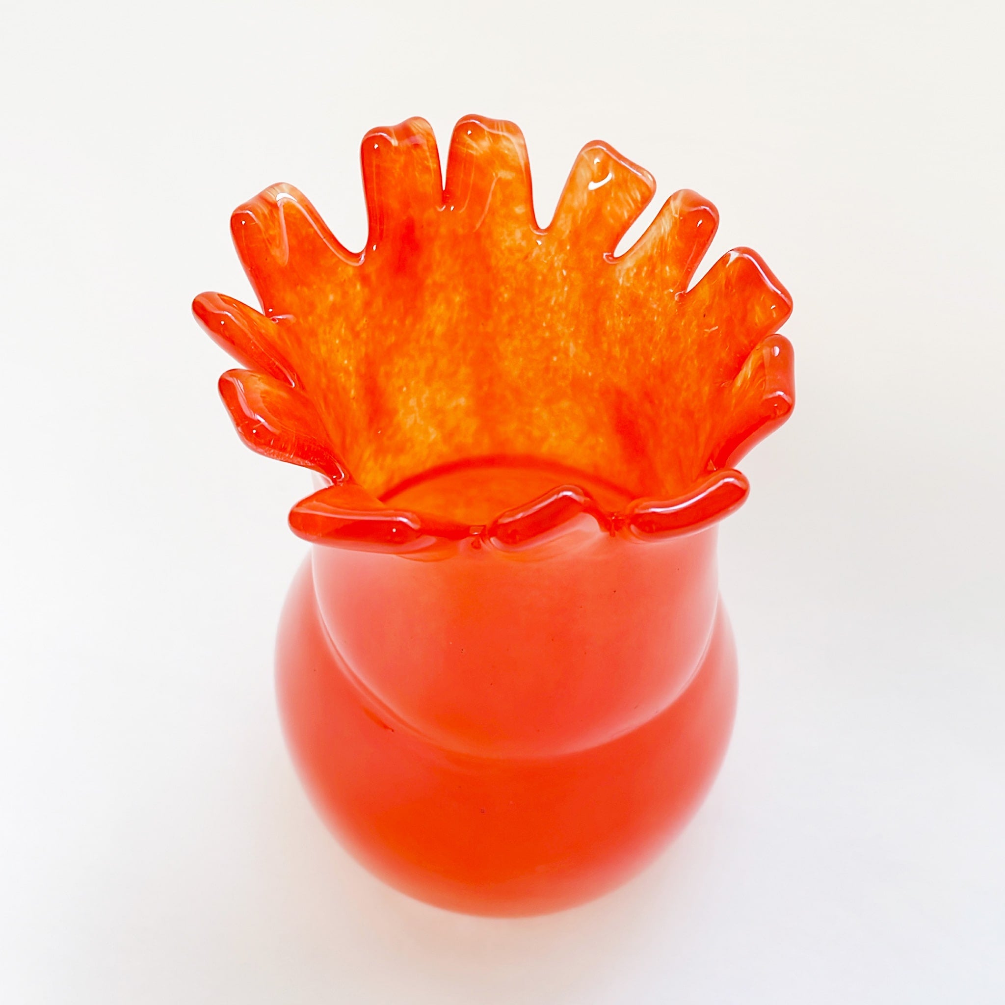 Yuri Iwamoto sea anemone